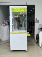 Boîte à pièces personnalisée casier à prix griffe grue jeux distributeur automatique armoire japonaise en peluche grue unique griffe machine à vendre