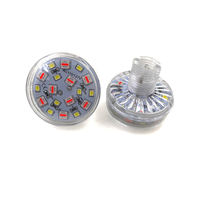 Ampoule E14 127 volts 48 mm, lumière pixel RGBW automatique, éclairage de fête foraine, AC110V, éclairage de parc d'attractions, IP65