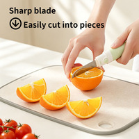 Roestvrijstalen groenteschiller, multifunctioneel fruit- en aardappelschilmes met ergonomische handgreep voor de keuken