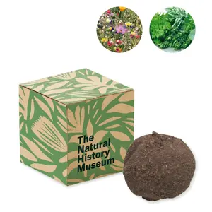 Kit di semi di fiori selvatici, merchandising sostenibile - Product Image 1