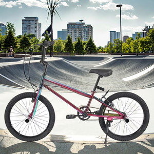 จักรยาน <span class=keywords><strong>BMX</strong></span> ความเร็วเดียวสำหรับกีฬาผาดโผน20BMX <span class=keywords><strong>รถ</strong></span>ข้างถนนพร้อมดิสก์เบรกและส้อมเหล็กทักษะการปีนเขา - Product Image 1