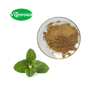 ヘルスケアの純粋な天然ミントエキス - Product Image 2