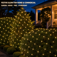 Pour les lumières de filet de Noël certifiées UL 5mm LED 4x6 FT éclairage décoratif intérieur IP65 étanche pour les décorations de festival de mariage