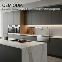 Ensemble d'armoires de cuisine en MDF laqué de style européen moderne sans cadre, vente en gros d'usine, meubles modulaires personnalisés pour appartement