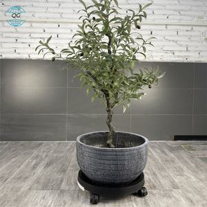 กระถางคอนกรีตทรงกลม น้ำหนักเบา ทนทาน สำหรับตกแต่งสวนกลางแจ้ง ชุดใหม่จากโรงงาน เหมาะสำหรับวางบนพื้นหรือโต๊ะ - Product Image 2