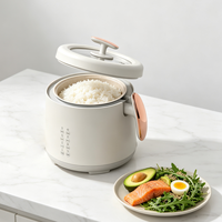 Cuisinière à riz électrique intelligente professionnelle de haute qualité avec cuve antiadhésive pour la cuisson des aliments à domicile
