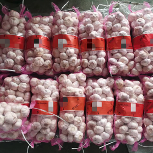 Ajo Fresco para África, Ail Frais Pour L'Afrique Australe, Tarifas Competitivas y Envío Rápido - Product Image 5