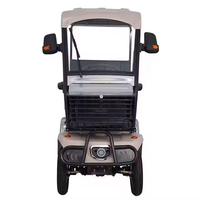 Nouveau modèle de rickshaw électrique ouvert 800W pour la ville avec rideau de pluie + pneu de rechange + ventilateur, vélo utilitaire électrique pour la ferme