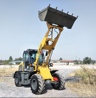 2t Hof lader Radlader ZL20 Garten lader HZM 826 mit Euro 5 Motor