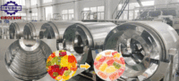 Machine de fabrication de bonbons gélifiés vitaminés pour l'industrie confiserieuse, ligne de production de bonbons gélifiés à base de fécule