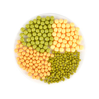 Modèles de grains simulés, noix simulées, maïs, haricots rouges, arachides, riz, raisins secs, graines de lotus, accessoires décoratifs