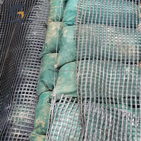 Geomalla Biaxial de Poliéster PET de Alta Resistencia a la Tracción de 20-200KN para Refuerzo de Base de Carreteras, Certificación CE, Garantía de 5 Años