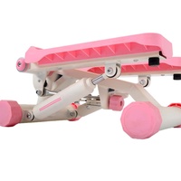Mini Stepper Magnétique à Cadre en Acier Silencieux, Équipement de Fitness Multifonctionnel de Haute Qualité avec Résistance Réglable et Écran LED