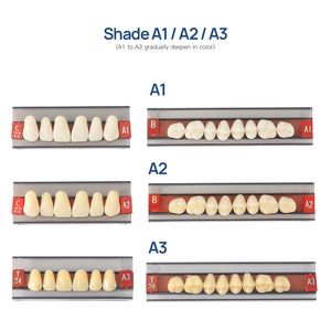 ฟันปลอม28ชิ้น/กล่องคอมโพสิตฟันสังเคราะห์เรซินฟันปลอมปลอม - Product Image 2