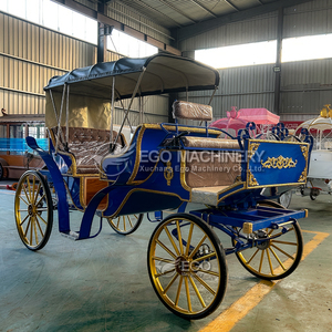 Limoneta Eléctrica Personalizada, Elegante Carruaje Eléctrico Victoria para Bodas, Carruaje Turístico con Caballos Blancos - Product Image 4
