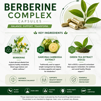 Cápsulas de Complejo de Berberina Bio Systemic Bio Support, Densidad Nutricional Holística, Fórmula Minimalista, Vegano, Certificado Halal, Uso Diario
