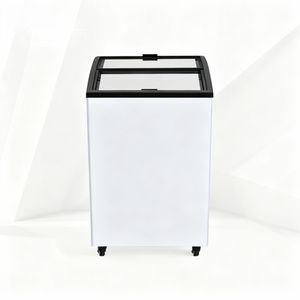 Vente flash : Congélateur à air continu pour glaces, <span class=keywords><strong>vitrine</strong></span> de présentation profonde à 2 portes - Product Image 2