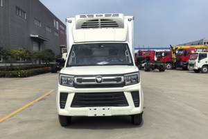 Nouveau camion <span class=keywords><strong>frigorifique</strong></span> FOTON 4x2, véhicule de transport <span class=keywords><strong>frigorifique</strong></span>, petit véhicule de transport de crème glacée - Product Image 2