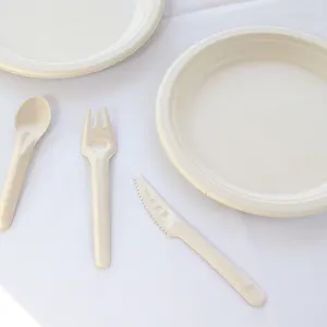 Hot Selling Bagasse Fiber Pulp Spoon Eco Friendly Disposable Canteen Utensil