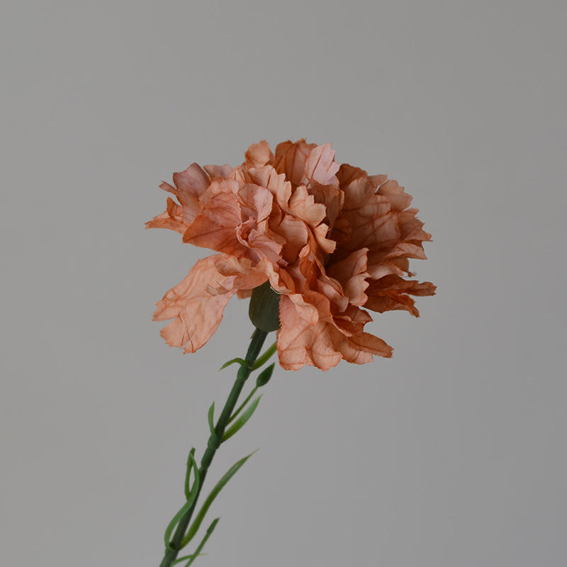 สีน้ำตาล