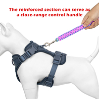Laisse de dressage réglable en nylon tressé pour chien, avec frein coulissant, poignée tressée absorbant les chocs, personnalisable