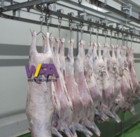 Équipement traditionnel d'abattoir pour moutons, ligne de transformation de la viande pour l'abattage des chèvres, machine d'abattage des agneaux