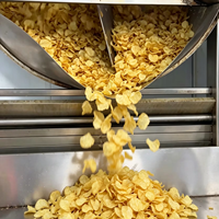 Nouvelle ligne de production de chips de pommes de terre, friteuse circulaire à lots, machine à frire les chips de banane, équipement de fabrication de chips de patate douce, haute capacité de production