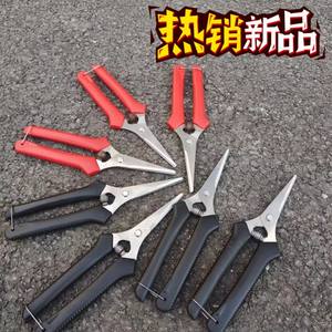 กรรไกรตัดแต่งกิ่งไม้พุ่มวิสทีเรีย ใบมีดสแตนเลส ปากตรง ด้ามจับสีแดง แบบบายพาส เครื่องมือทำสวน - Product Image 5