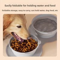 Bol de voyage pour chien pliable en silicone de qualité alimentaire, antidérapant, pour l'eau et les croquettes