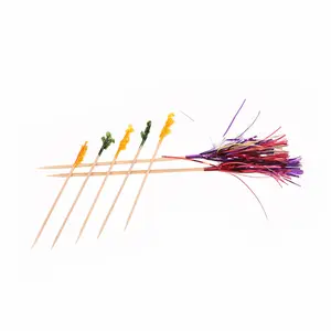 Dùng một lần cờ tăm xỉa răng Cocktail Picks ô Picks trang trí trong bữa tiệc