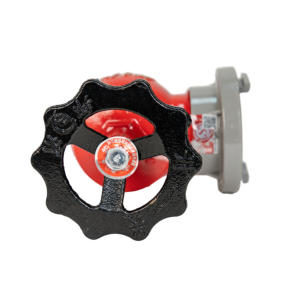 Alta Qualidade Single-Outlet Válvula De Hidrante De Incêndio Loja De Combate A Incêndio Fittings Equipamento De Combate A Incêndio SN65 Hidrante Interior - Product Image 3