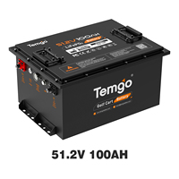 Baterai Mobil Golf TEMGO Lifepo4 100ah 48v Lithium 72v 36v 105Ah dengan Casing Logam untuk Kendaraan Listrik Baterai AVT