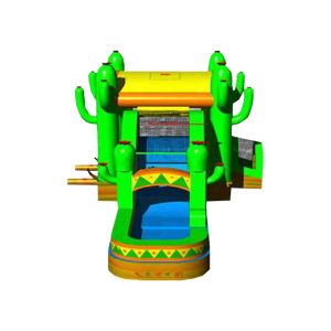 Hot thương mại Inflatable trẻ em trượt tùy chỉnh xương rồng trượt nước lớn trượt ngoài trời cho Đảng cho thuê - Product Image 3