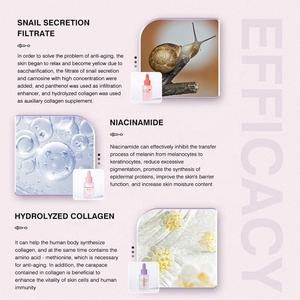 เซรั่มบำรุงผิวหน้าสูตรเฉพาะ OEM พร้อมโลโก้ส่วนตัว ไฮยาลูรอน วิตามินซี เรตินอล คอลลาเจนจากเมือกหอยทาก ไนอะซินาไมด์ - Product Image 4