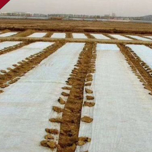 Protection du tissu polypropylène Plante verte Agriculture Couverture en tissu non tissé non tissé - Product Image 4