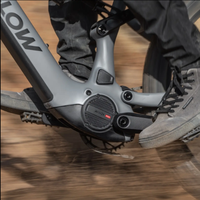 En stock 2027 Amflow PR /PR POR Cadre en carbone Batterie lithium-ion 800Wh Vélo électrique Avinox M2 Unité de transmission