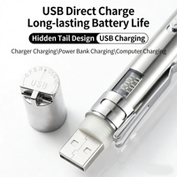 Torcia UV in Lega di Alluminio con Ricarica USB, Indicatore Luminoso Bianco, 5 Modalità, Penna Laser, Giocattolo per Gatti, Certificato CE, Telecomando, Luce Bassa