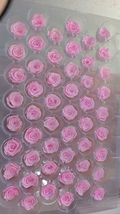 Testa di Rosa Eterna, Rose Conservate di Grado A 3-4 cm, Fiori di Alta Qualità al Tatto Naturale - Product Image 3