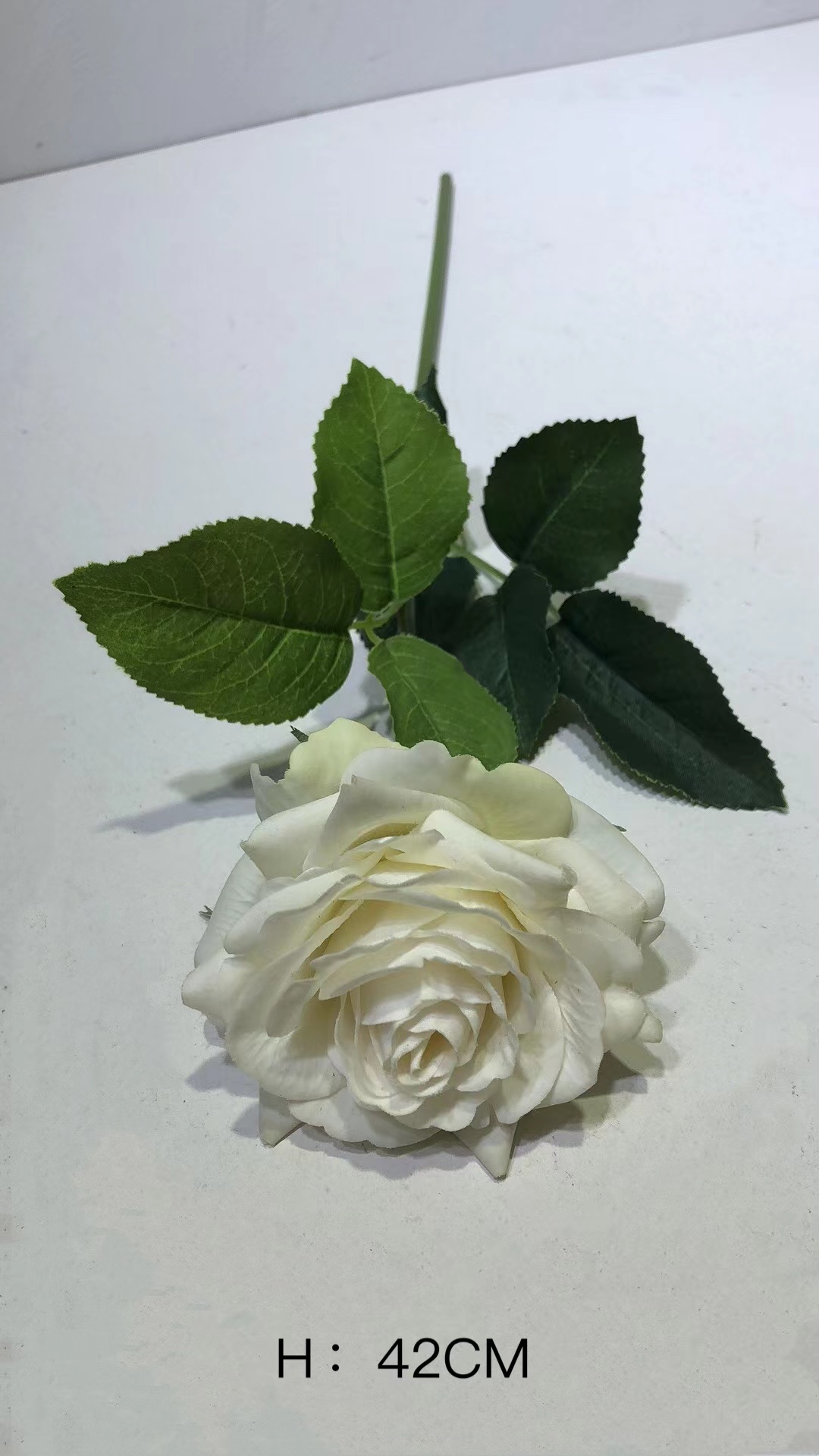 blanco#2