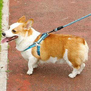 ชุดสายจูงสุนัข EVA ชุดสายจูงสุนัขไนล่อนทำจากโฟมผ้าไนลอนสะท้อนแสงชุดสายจูงสุนัขปีนหน้าผา - Product Image 2