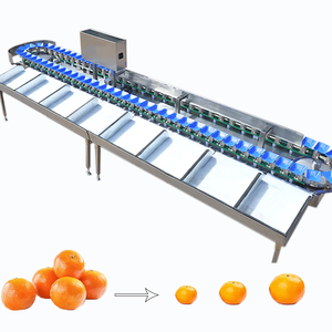Machine de tri pour <span class=keywords><strong>ailes</strong></span> de poulet, morue, boîtes d'alimentation, sabots de porc, légumes et fruits avec pesage et tri, et système PLC - Product Image 4