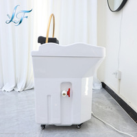 Équipement de spa capillaire japonais, thérapie capillaire, lavabo portable mobile sans plomberie, bac à shampooing de salon avec réservoir d'eau