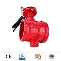 Vanne papillon incendie à gorge rainurée, assise en EPDM, revêtement époxy, zéro fuite, PN16, pour arroseur de tunnel - Usine