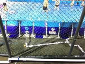 Plastic <strong>Pool</strong> and PVC Frame <strong>Pool</strong> Customize - Product Image 3