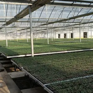 indoor garden single tunnel green house multi span greenhouse plastic film gutter connected for sale