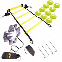 Échelle d'agilité professionnelle pour le football, équipement d'entraînement de football, matériau PVC plastique 35x45cm, couleur et logo personnalisables, vitesse