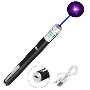 Laser Pointer for Cats Dogs Pet Interactive Toys Puntero Verde Laser Pens Rechargeable by USB cable Red Green Purple Laser