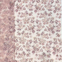 Tissu de Robe de Mariée Haut de Gamme en Maille Perlée, Sergé, Brodé de Paillettes, Extensible, Respirant et Léger – Vente en Gros de Dentelle en Maille