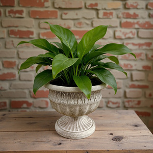 Maceta Grande Retro para Jardín o Patio, Maceta para Suculentas, Gris, Boca Ancha, Contenedor para Plantas de Exterior - Product Image 2