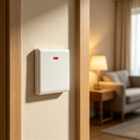 Interrupteur mural double pôle 45A blanc de type 86 avec indicateur néon, haute puissance, pour usage domestique, vente en gros, directement de l'usine OEM